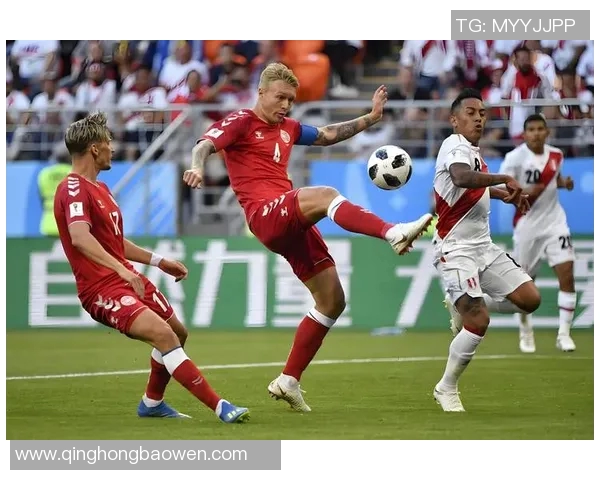 2017年世预赛丹麦对阵波兰精彩回顾与赛后分析