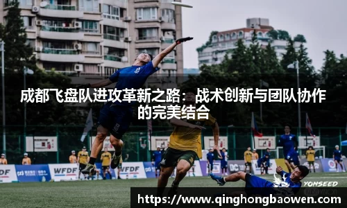 77体育官网