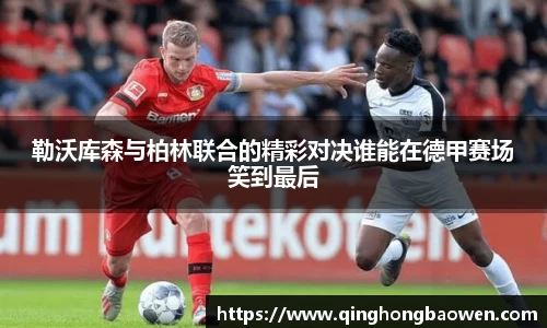 77体育app下载官网
