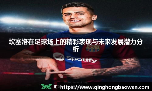 坎塞洛在足球场上的精彩表现与未来发展潜力分析
